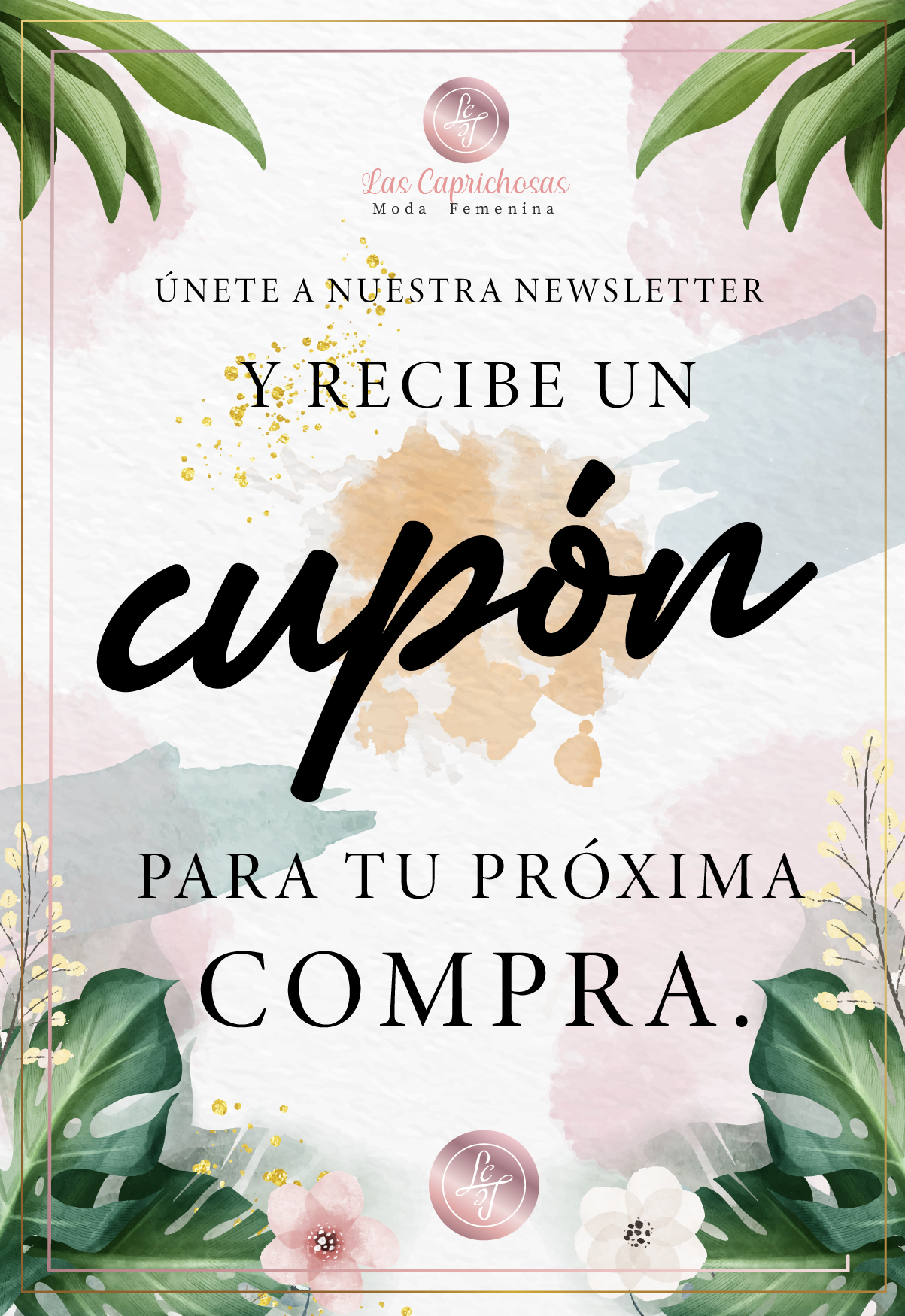 news letter caprichosas 002 01